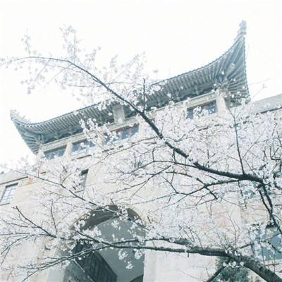 中共中央办公厅印发《全国党政领导班子建设规划纲要（2024－2028年）》